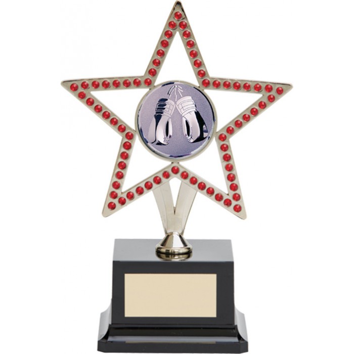  10'' SILVER METAL STAR WITH RED GEMSTONES - BOXING TROPHY